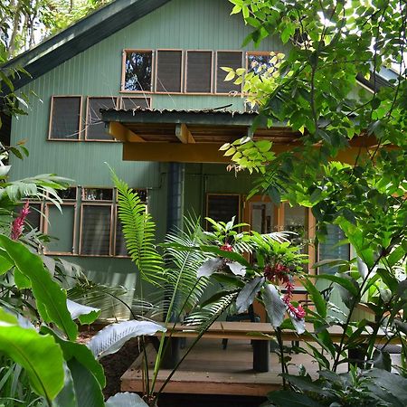 Rainforest Eco Lodge Suva Extérieur photo