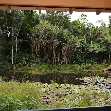 Rainforest Eco Lodge Suva Extérieur photo