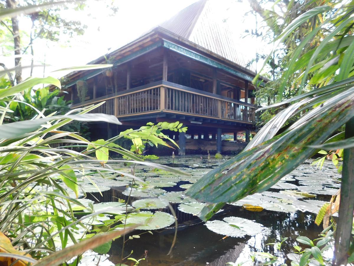 Rainforest Eco Lodge Suva Extérieur photo