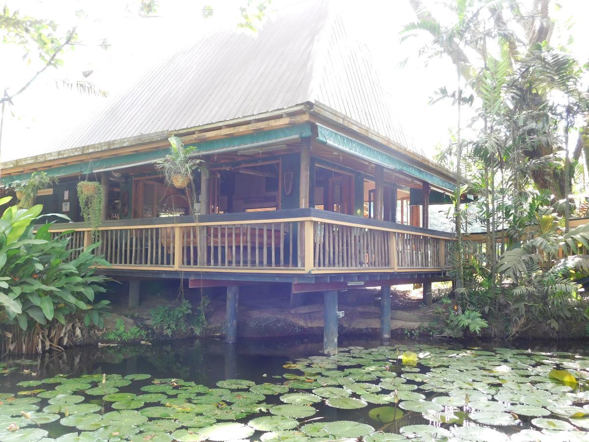 Rainforest Eco Lodge Suva Extérieur photo