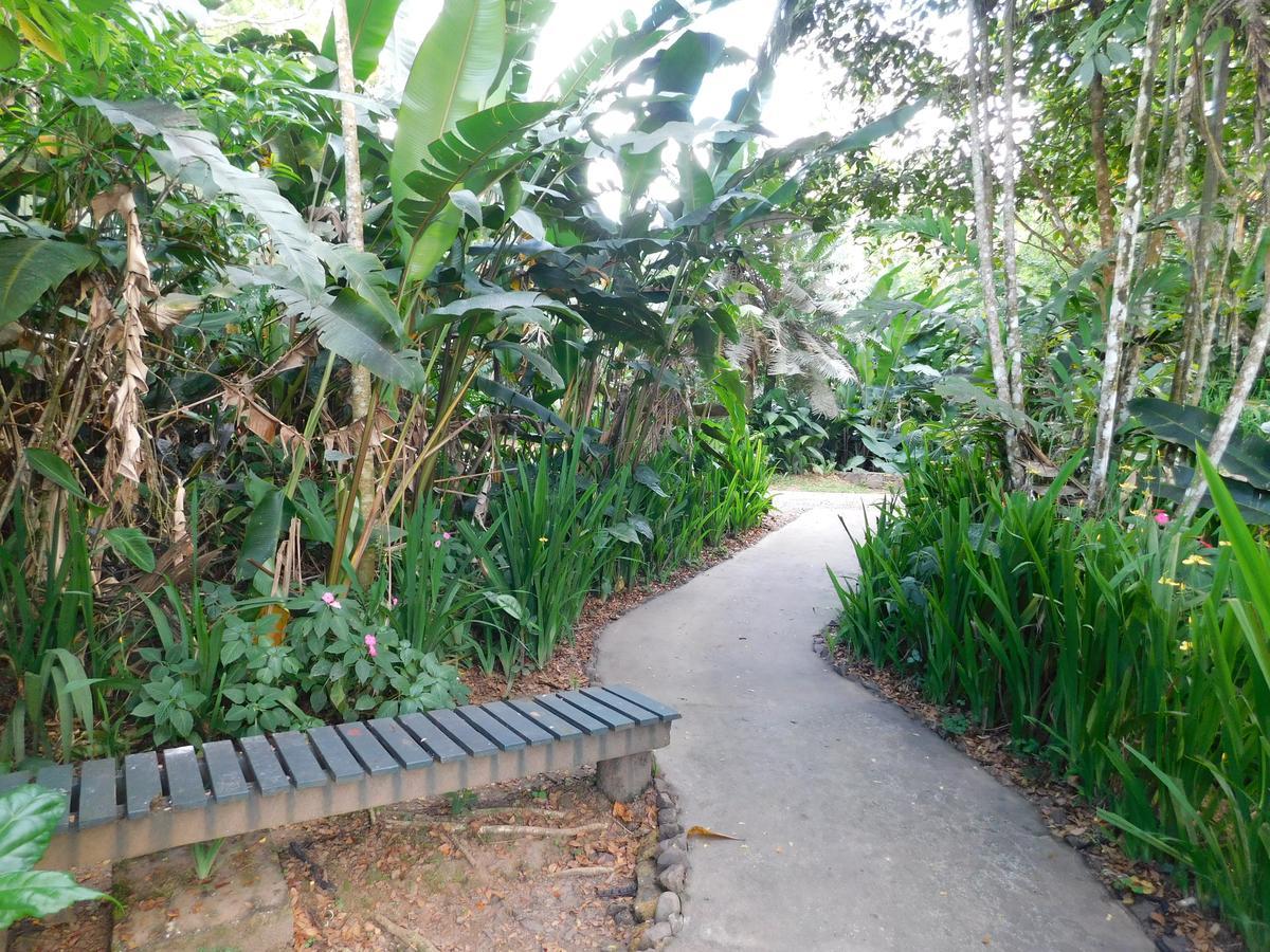 Rainforest Eco Lodge Suva Extérieur photo