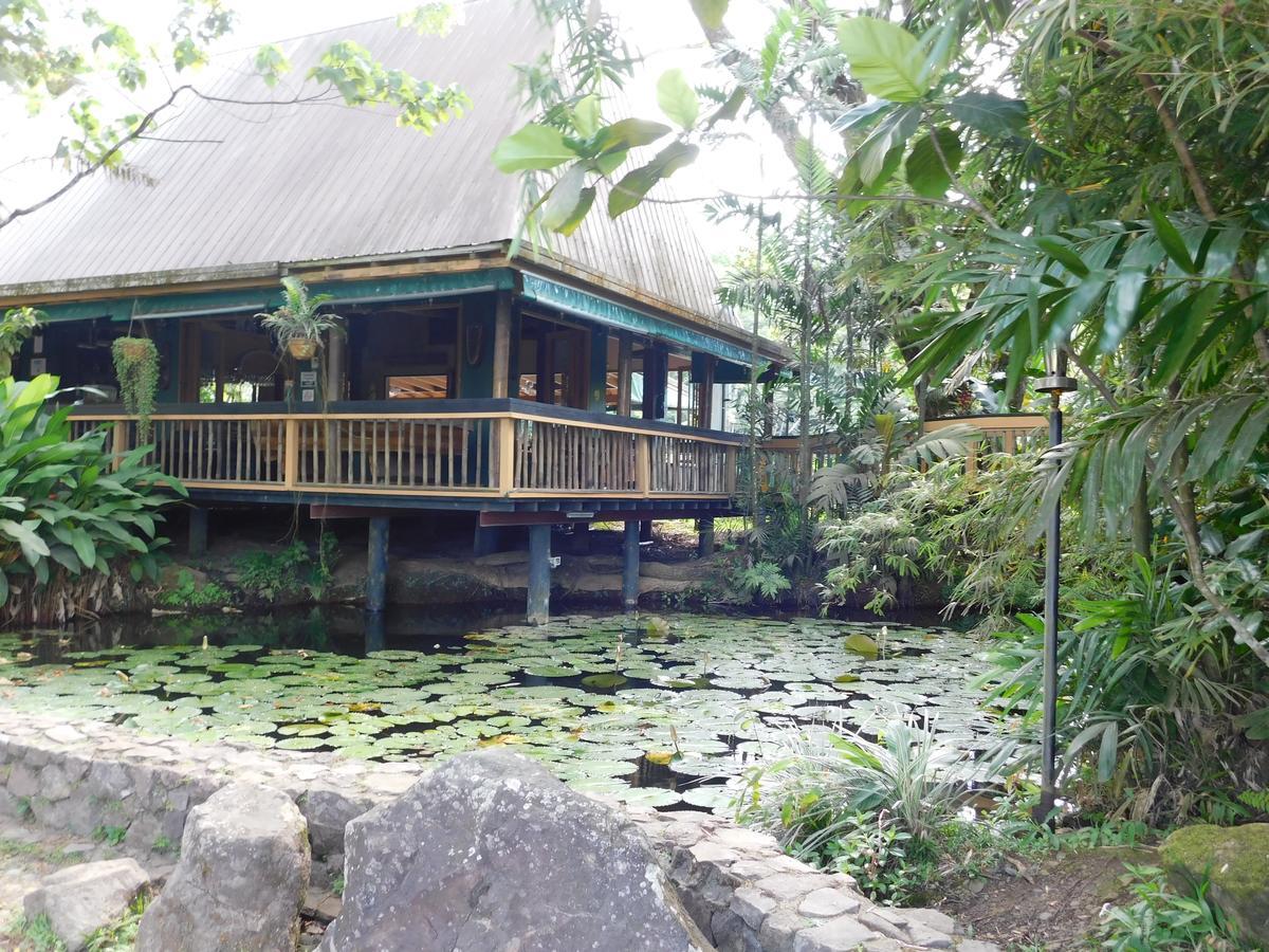 Rainforest Eco Lodge Suva Extérieur photo