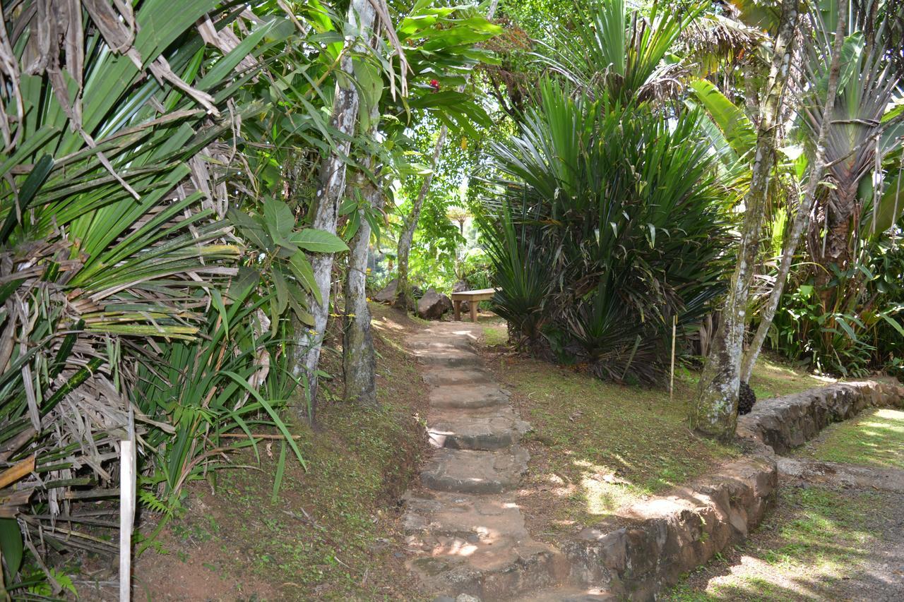 Rainforest Eco Lodge Suva Extérieur photo