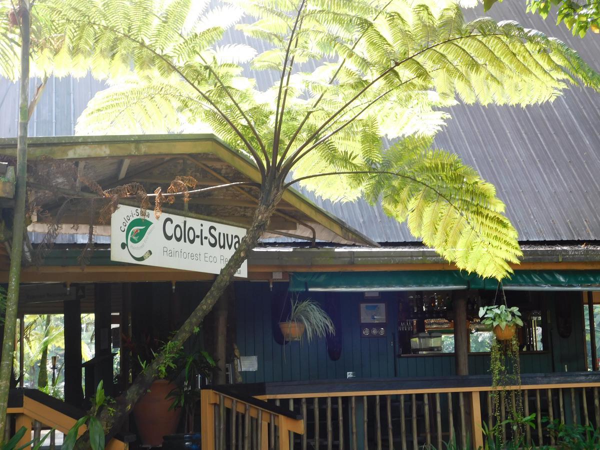 Rainforest Eco Lodge Suva Extérieur photo