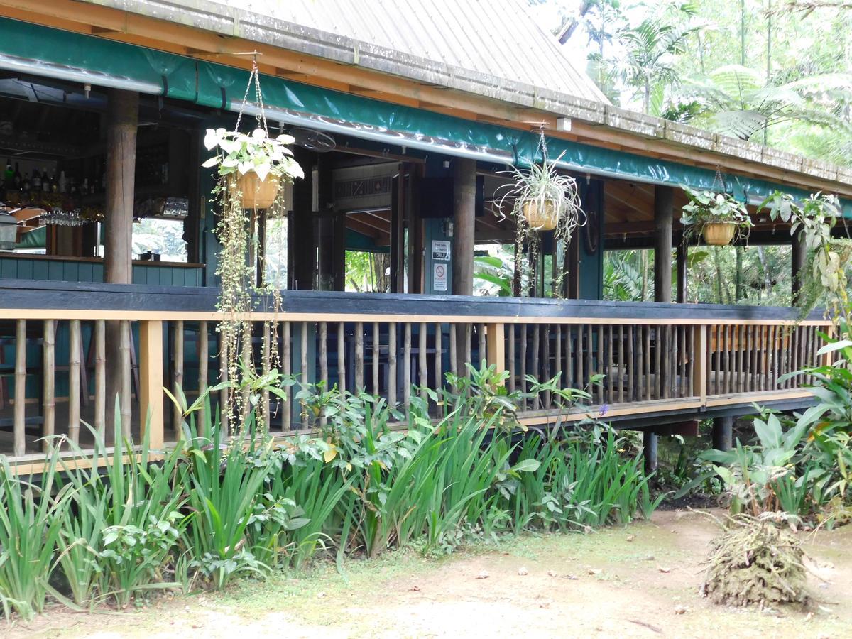Rainforest Eco Lodge Suva Extérieur photo