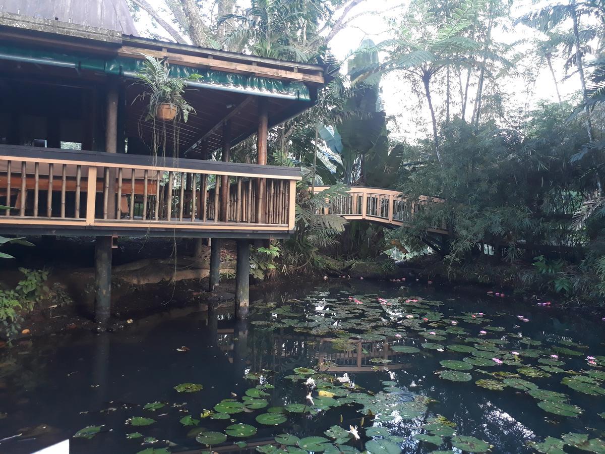 Rainforest Eco Lodge Suva Extérieur photo