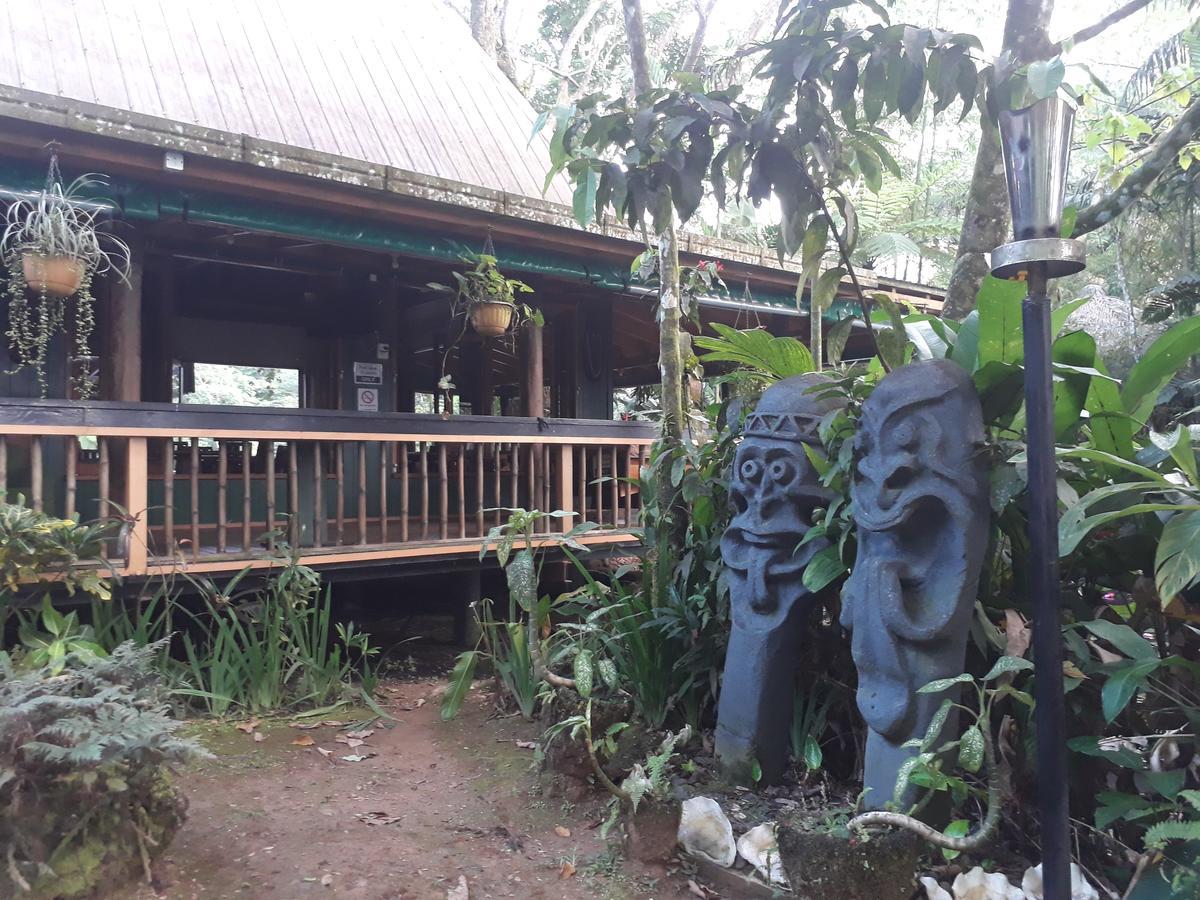 Rainforest Eco Lodge Suva Extérieur photo