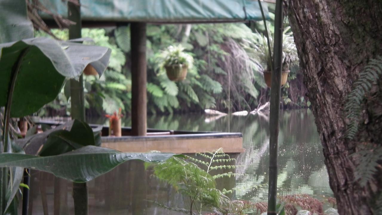 Rainforest Eco Lodge Suva Extérieur photo