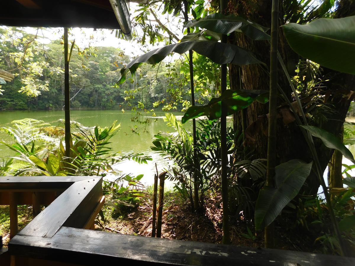 Rainforest Eco Lodge Suva Extérieur photo