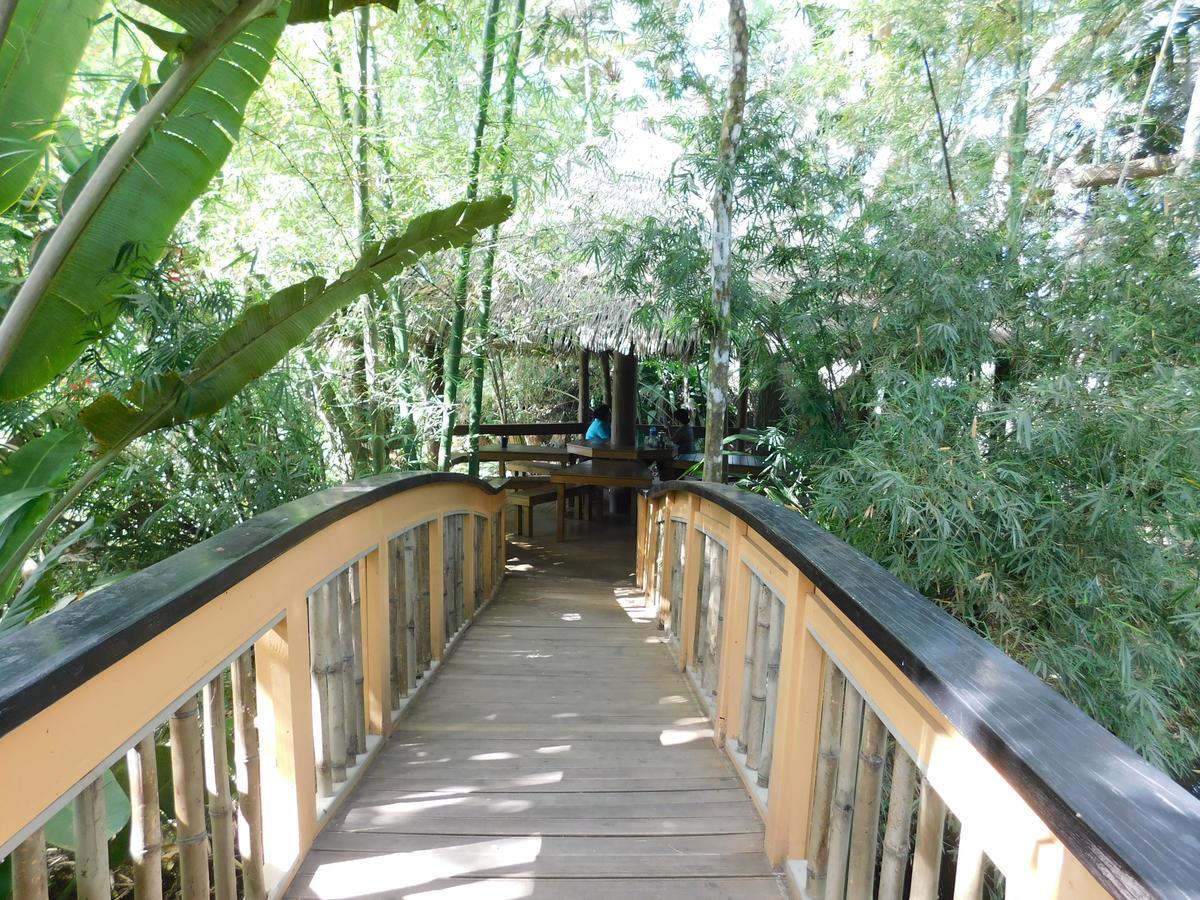 Rainforest Eco Lodge Suva Extérieur photo
