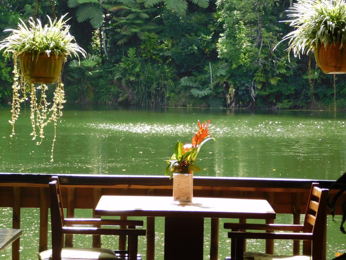 Rainforest Eco Lodge Suva Extérieur photo