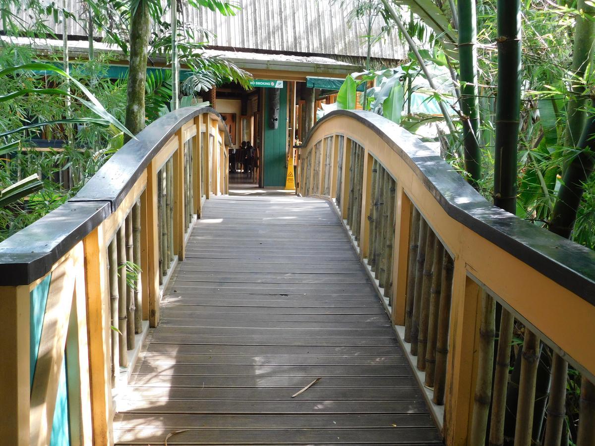Rainforest Eco Lodge Suva Extérieur photo