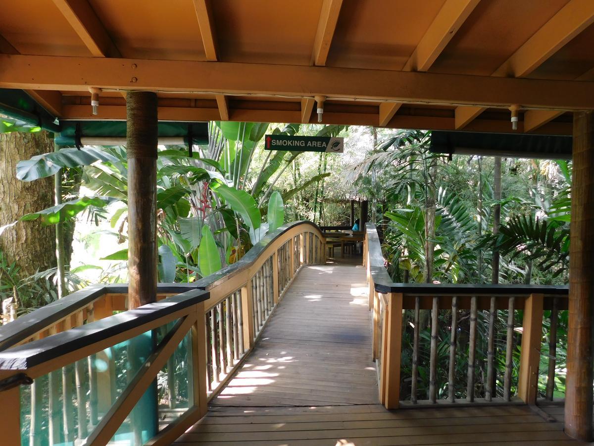 Rainforest Eco Lodge Suva Extérieur photo